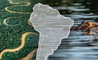 Conocido como el río más largo y el más caudaloso del mundo, recorre hasta tres países de Sudamérica