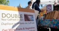 Food stamp info sharing halted