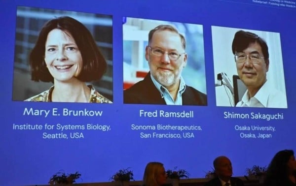 Dan Nobel a 3 científicos por trabajos sobre sistema inmune