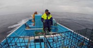 Conapesca activa nuevos periodos de pesca y vedas en octubre