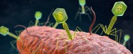 Century-Old Viral Therapy Could Help Us Out of an Impending Superbug Crisis