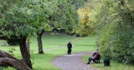 The autumn city walk steeped in history and beauty