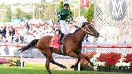 How to watch the Cox Plate live and free on Seven and 7plus, what time is the Cox Plate