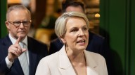 Social Services Minister Tanya Plibersek refuses to comment on transgender woman in female prison amid controversial child sex offender case