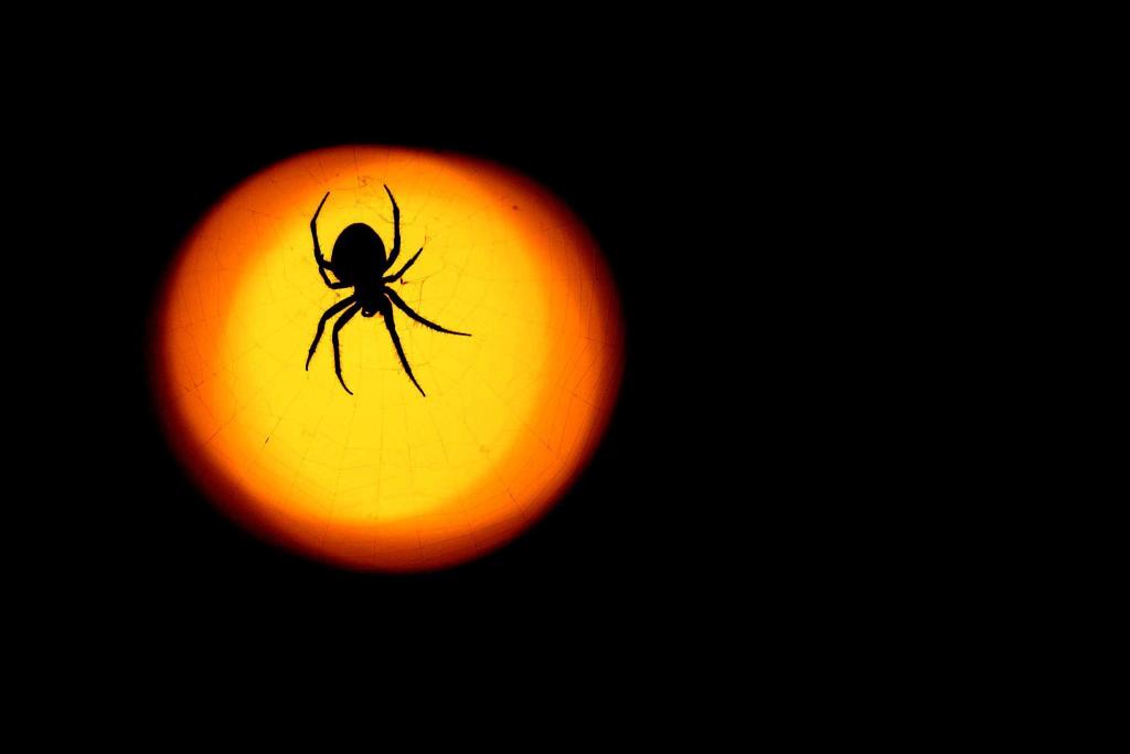 What will Hampton Roads' weather be like for Halloween?