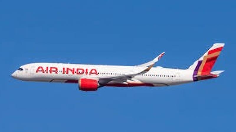 Air India Colombo-Chennai Flight Carrying 158 Passengers Suffers A Bird Hit