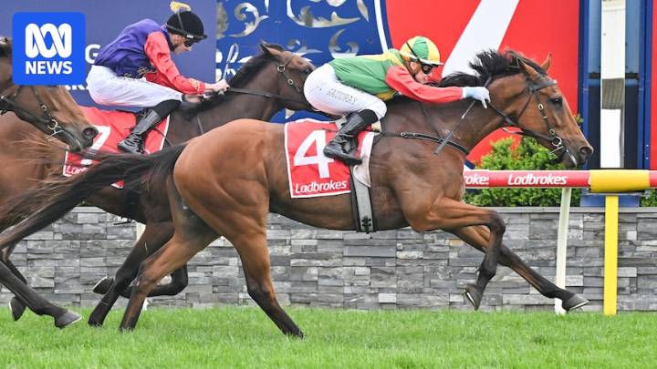 Torranzino wins Geelong Cup, giving trainer Paul Preusker a Melbourne Cup runner