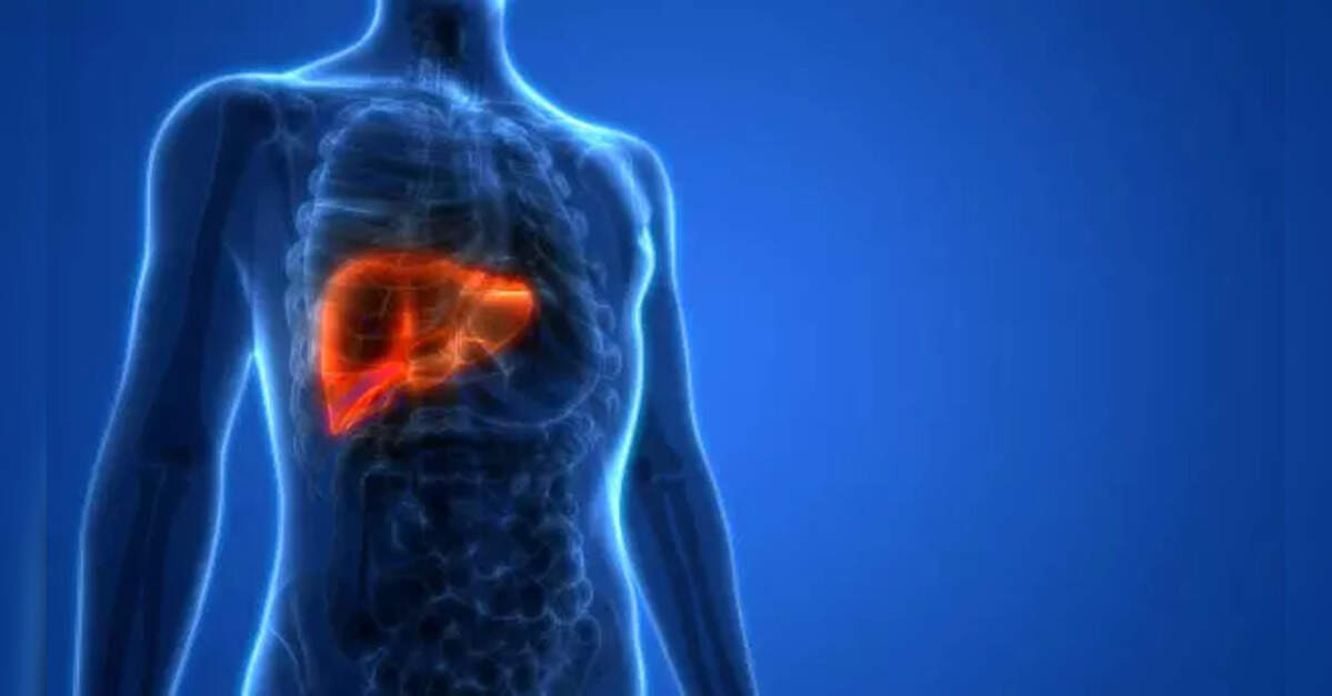 Gut-liver connection may help reverse fatty liver disease: Study reveals everyday vegetables with nutrient that shields against sugar damage