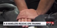 First of its kind CPR training for K-9 handlers and first responders held in Bennington