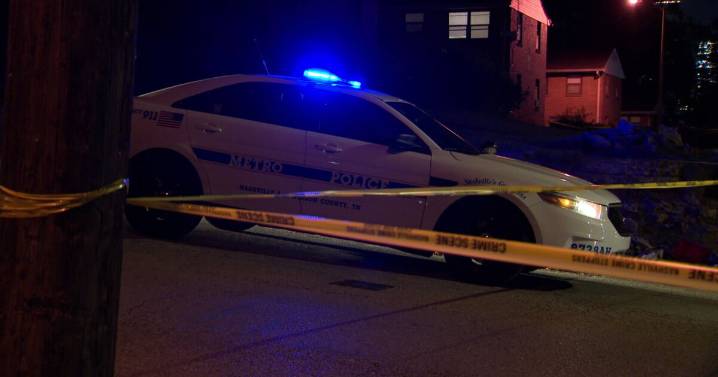 Four people shot overnight near East Nashville apartment complex