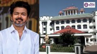 Vijay rally stampede: Madras High Court refuses CBI probe but urges strict conditions for political rallies