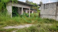 Espacio donado para mercado, hábitat del zancudo transmisor del dengue