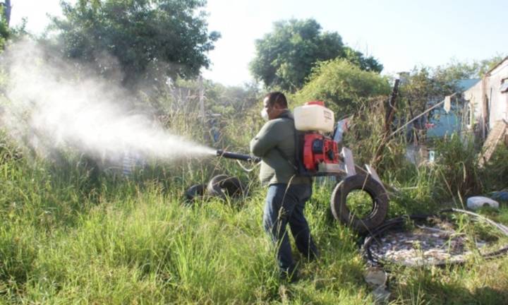 Leve suba en los casos de dengue