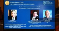 Los Nobel de Economía 2025 premian la teoría de la destrucción creativa y la innovación