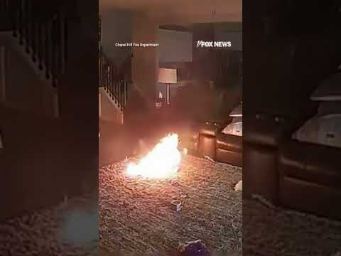 BATTERY BITE: Family pet sparks fire after chewing through a lithium battery