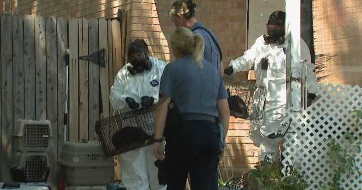 Over 100 animal cruelty charges filed against 2 Coloradans accused of keeping animals in "undesirable" conditions