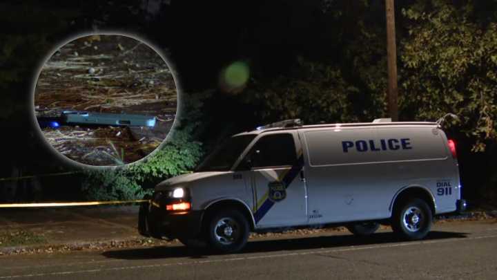 Police: 2 men found zip-tied, shot execution
