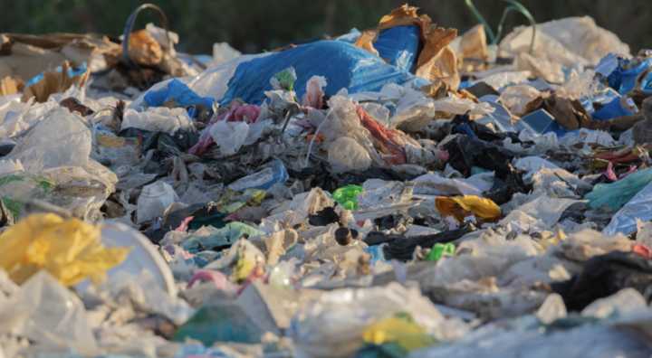 WWF Chile: No a retrocesos en ley que prohíbe los plásticos y productos de un solo uso