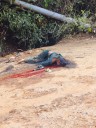 Road neglect claims life of woman at Devtamura