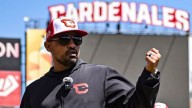 Cardenales de Lara jugará tres partidos de pretemporada previo a la Lvbp