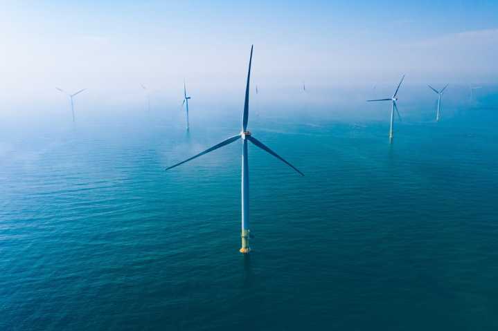 Renewables overtake coal as world's top energy source