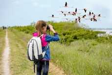 Outdoor excursion: Free birding backpacks on loan at libraries