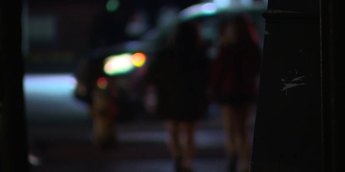Chatham County Sherriff’s office makes arrest in sex trafficking case