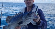 Fisherman catches extremely rare prehistoric fish off UK coast