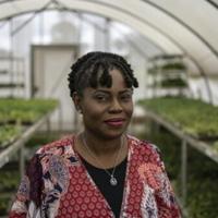 Award-winning Nigerian agronomist dreams of a cassava 'revolution'