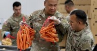 'I'm terrified': Hunger looms as millions prepare to lose food aid amid shutdown