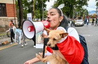 Respeto y cariño por los animales en Pasto