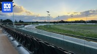 Queensland government 'confident' greyhound track The Q can meet animal welfare standards after review