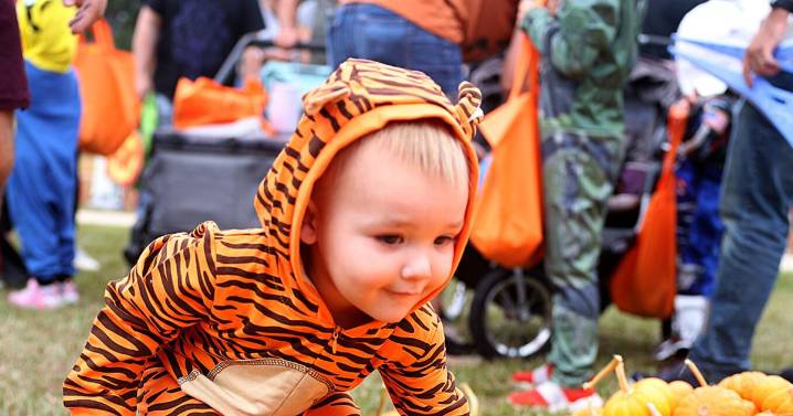 Boo Fest is a Halloween