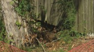 Residents voice concerns over sinkholes in backyard