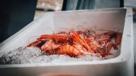 Alerta por gambas radiactivas: la FDA pide a los consumidores revisar sus congeladores