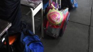 ¿Hay plaga de chinches en escuelas de Irapuato? Esto dice el delegado de la SEG