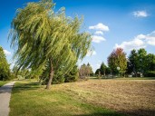 Berger Road landscape revitalization project underway