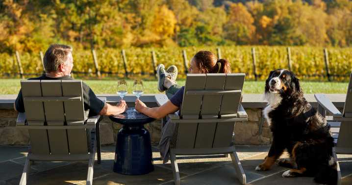 6 Cozy Wine Experiences to Discover This Fall