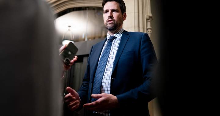 Bail reform, tougher sentencing set to be tabled by minister