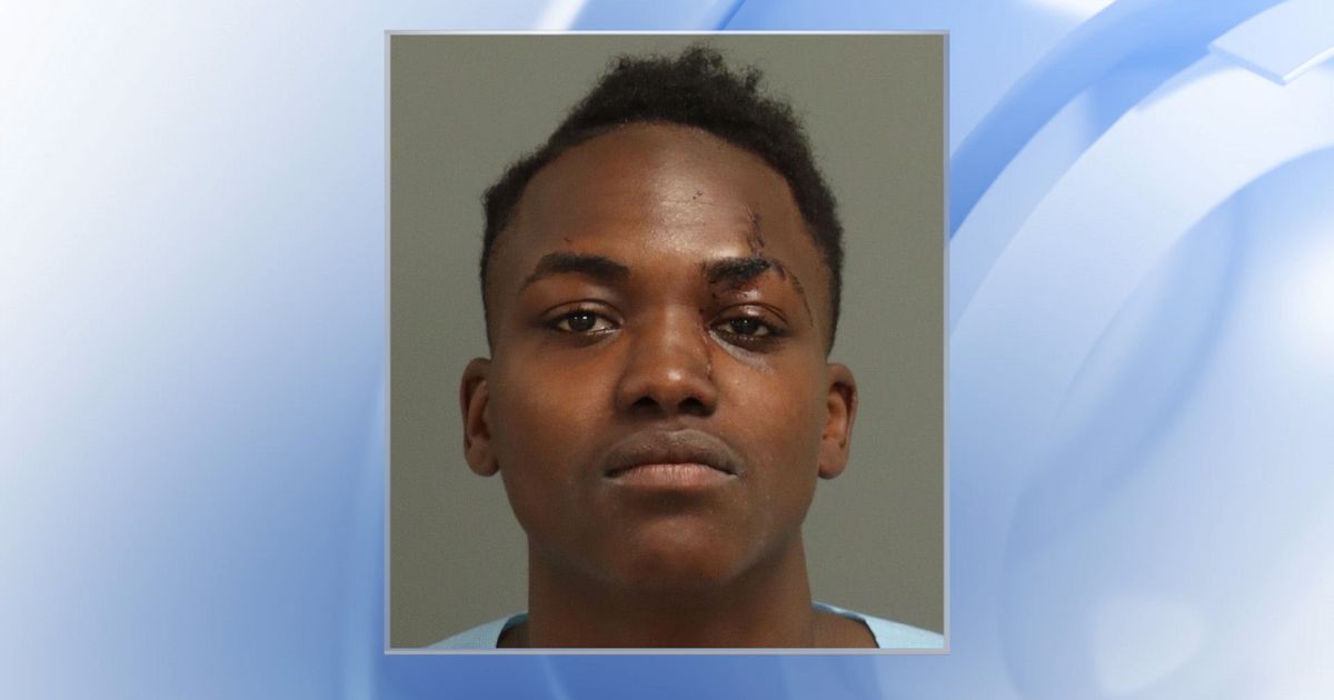 Warrant: Woman stabbed someone with campaign sign in Raleigh :: WRAL.com