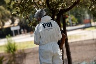 Hallan cadáver mutilado en sitio eriazo en la comuna de La Pintana: sería un hombre y aún no es identificado