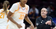 WNBA's Dallas Wings name Fernandez new coach