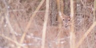 It’s time to ‘share the harvest’ in Missouri