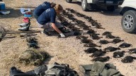 Caza ilegal en Santa Fe: 1.700 intervenciones y casi 500 animales decomisados en lo que va de 2025