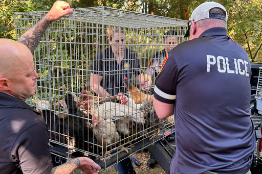 Rescatan decenas de animales enfermos de casa en NY donde anciana estaba "atrapada" entre escombros