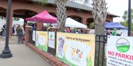 Getting a glimpse at Woofstock 2025