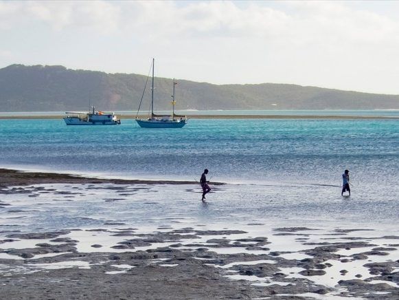 Teen critical after 'traumatic' shark attack in Australia