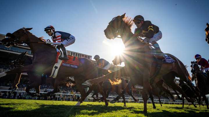 How to watch the Breeders’ Cup live from anywhere: Full TV guide