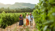 Minnesota vineyard blends Christian faith with traditional winemaking