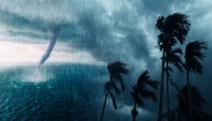 Odisha Braces For Escalating Cyclonic Storm, IMD Issues Orange Alert